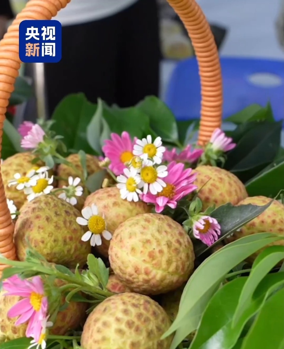 “粤”上新台阶丨水果千千万 广东人为何“独宠”荔枝？