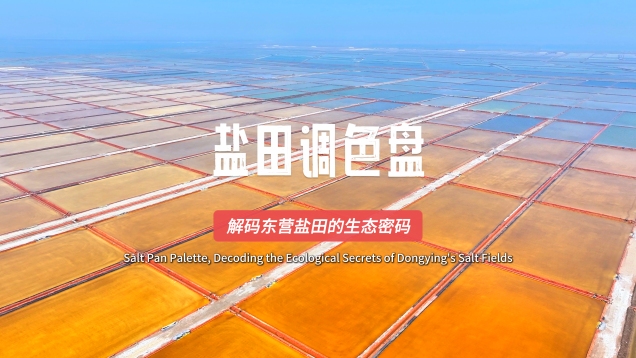 Salt Pan Palette, Decoding the Ecological Secrets of Dongying's Salt Fields_fororder_黄