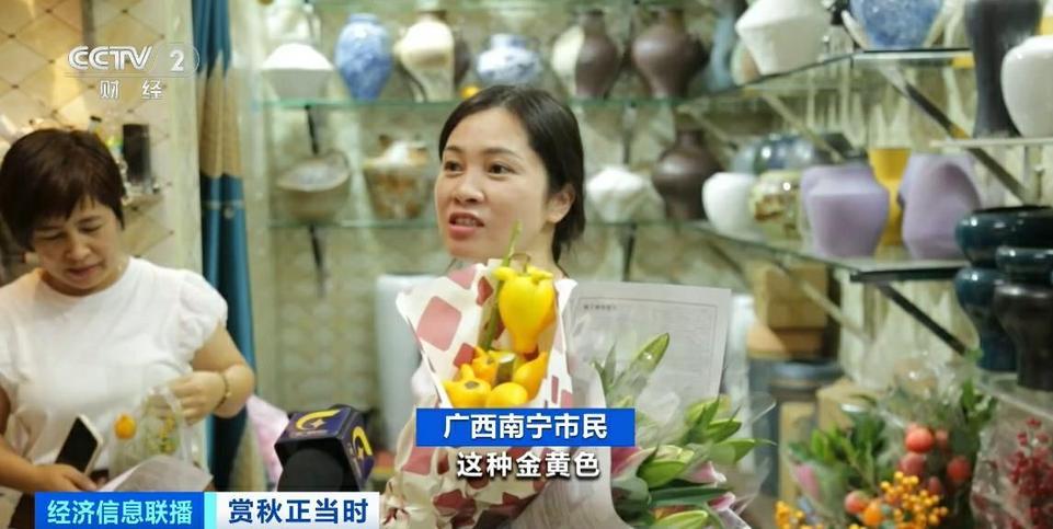 把满满氛围感带回家 这个秋天 果实鲜切枝成花市“新宠”
