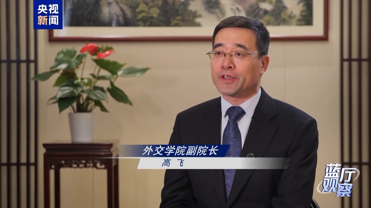 蓝厅观察丨从这场记者会读懂中国外交的坚定从容