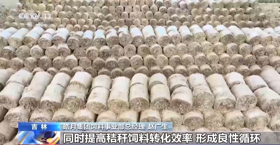 一线调研丨带动21.5万农户养牛致富 这家民企如何牵住“牛鼻子”？