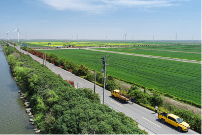 State Grid Zhejiang Powers Rural Revitalization Through Targeted Agricultural Services_fororder_图片1