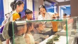 博物馆里过暑假 文化滋养不放假