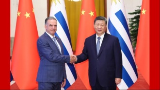 习近平：让中乌友谊之树愈加枝繁叶茂_fororder_时政红底(1)