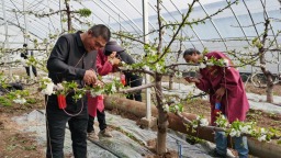 天水张家川：奋进正当时 实干启新程