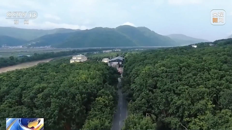 人被明码标价出售、完不成“任务”遭毒打……回流人员讲述明家犯罪集团累累罪行