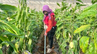 中国重建“加速度”保障甘肃地震受灾群众安居乐业