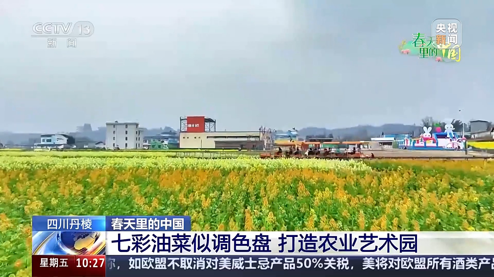 玉兰洁白 油菜多彩 一起来场说走就走的春游吧