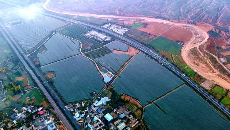 天水武山：“一把手”访谈汇聚发展强音