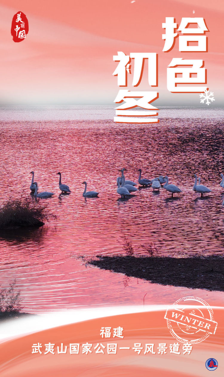 海报｜美丽中国·拾色初冬