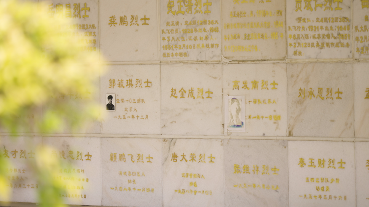 鲲鹏再展翅，英雄归故乡——写在第十一批在韩中国人民志愿军烈士遗骸归国之际