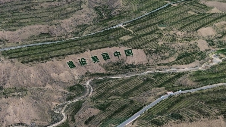 祁连山下播新绿 生态屏障筑凉州——武威市凉州区南部山区生态林建设一线观察_fororder_da2f606fd380263383ad80d310c10fa