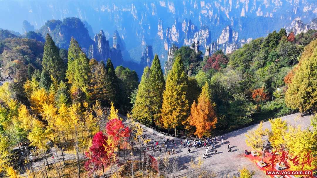 赏秋正当时！湖南登山赏景攻略来了_fororder_9