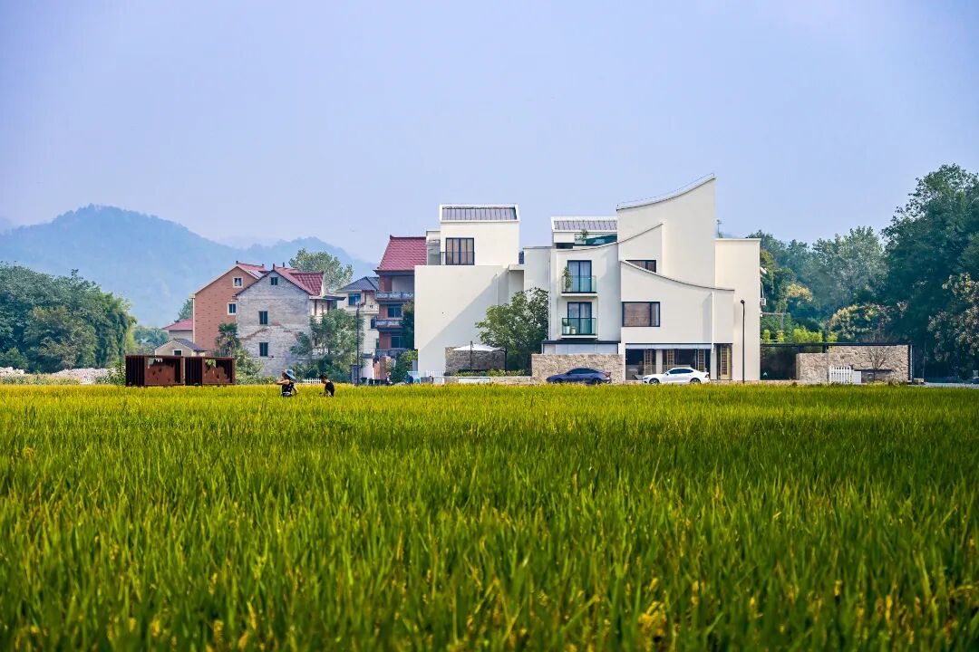 '녹수청산'에서 '금산은산'으로…퉁루, 자연 속 공동부유의 길을 그리다_fororder_微信图片_20260124205455