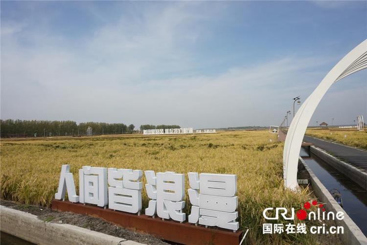 【稻花香里说丰年】乐稻小镇农文旅深度融合 用行动赋能乡村振兴