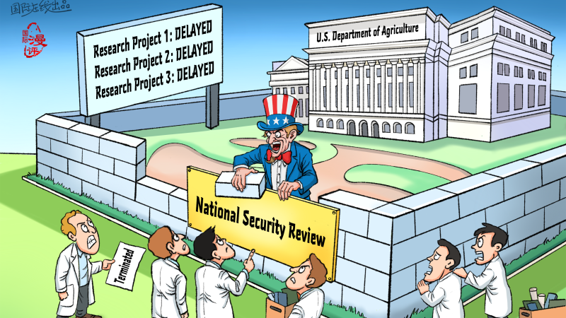 【Editorial Cartoon】A Man-Made "Research Wall"