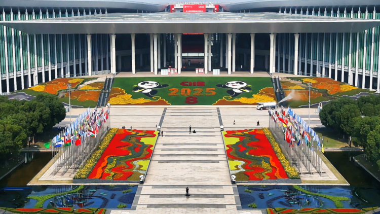 【世界看进博】“老朋友”深耕、“新伙伴”加入：进博会吸引力持续增强，跨国企业与中国市场共成长