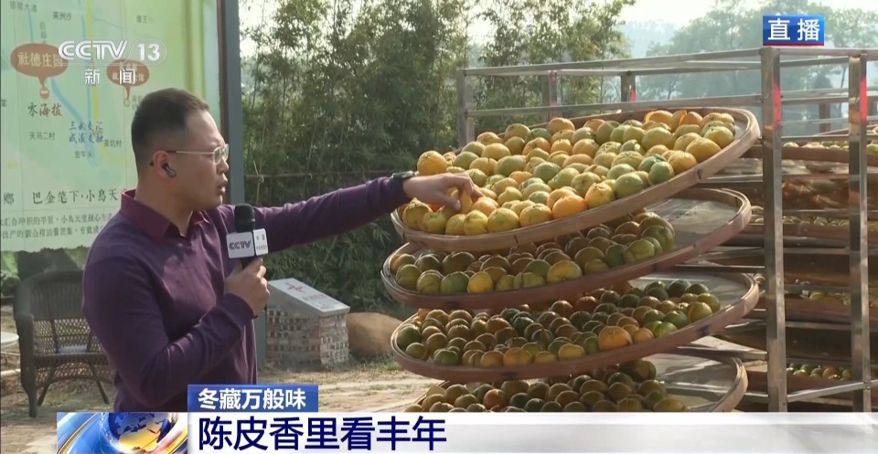 视频丨一粒豆一颗柑 中国味道饮品里藏着“绿色致富密码”