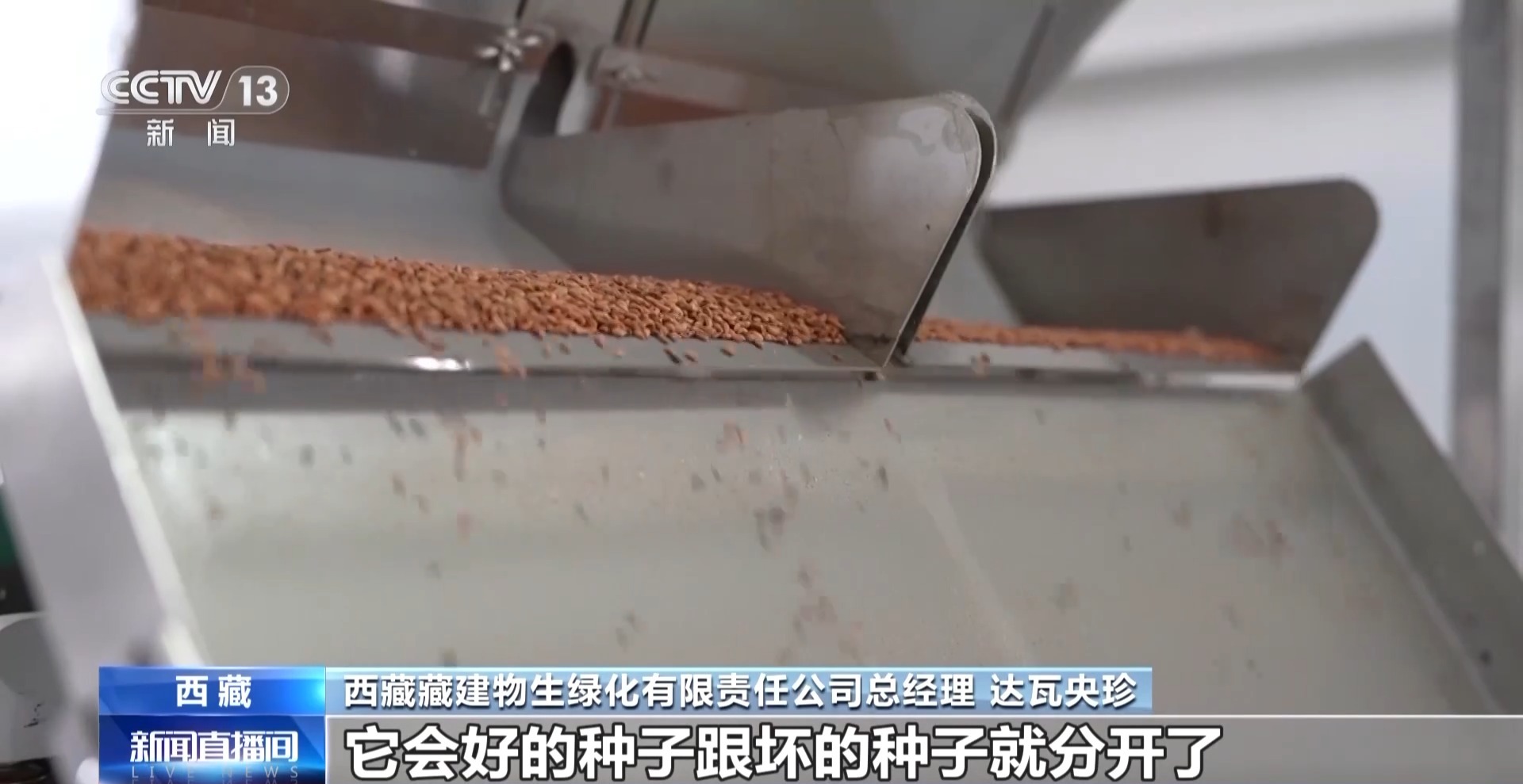 4年栽植苗木1.2亿多株 看拉萨高原如何披“绿装”