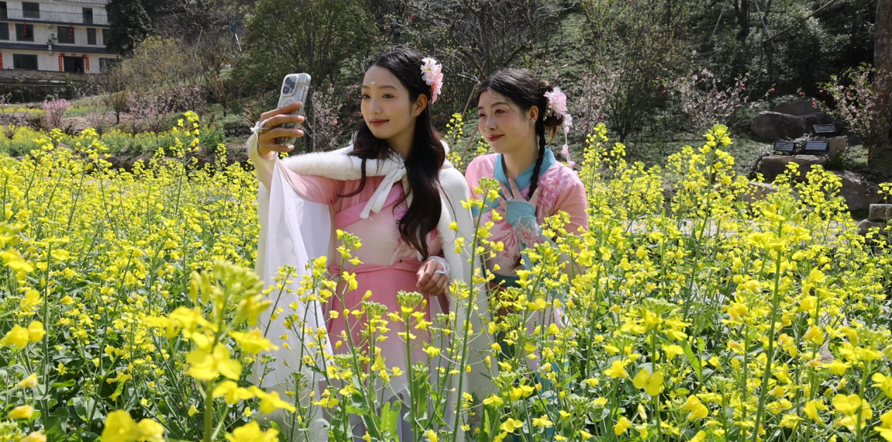 黄山市徽州区：春日灵山旅游热 梯田花海引客来_fororder_灵山3