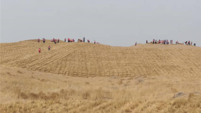 Alxa League Launches the 2026 Key Campaign for the Sixth Phase of the Three-North Shelterbelt Program