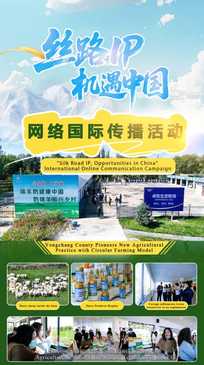 “丝路IP 机遇中国”｜永昌县种养循环模式引领农业产业新实践_fororder_f10dc928a24340ca135f3ba7d06afbe8