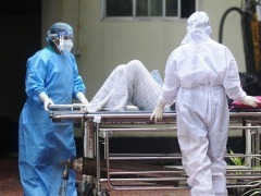 深追踪丨尼帕病毒或引发全球大流行？专家：不是新病毒，国内没病例，别慌！