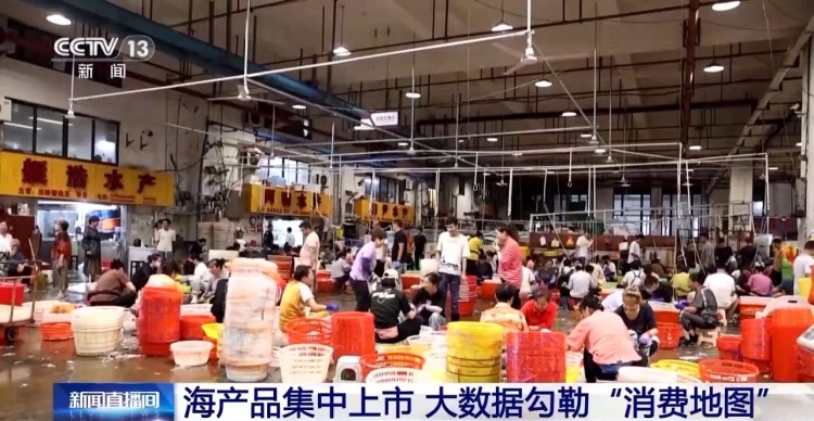 开渔期赶海忙 鲜活海产“游”进市场