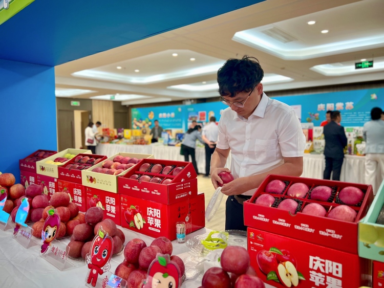 庆阳“甘味”借势推介会开拓北京市场_fororder_宁县金农农业扶贫开发有限公司办公室主任袁超斌正在整理展台。庆阳融媒记者 王华 摄.JPG