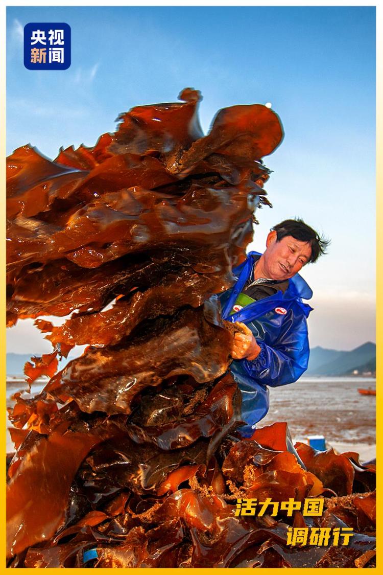 活力中国调研行丨从“浙”里，看中国