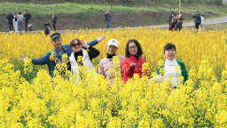 湖南衡阳珠晖区五彩油菜花绽放