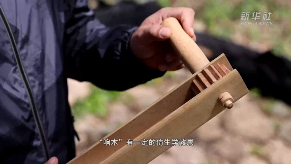 山河印记·寻访抗战足迹｜“响木”清脆 抗联密营里的“密电波”