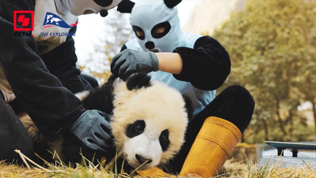 10月2日18:00 CCTV4、CCTV4K、CCTV8K三屏联动 中法合拍纪录片《神奇的中国》震撼首播