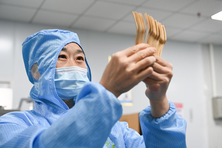 “鄉”遇湖南 “湘”遇世界丨南方之竹 拔節海外