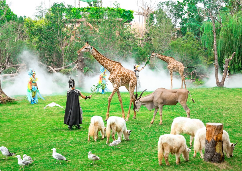 В 2024 году стартовало мероприятия по международной коммуникации с использованием веб-технологий «Daka China: Древние ритмы и модные мелодии — Привет, Хэнань!»