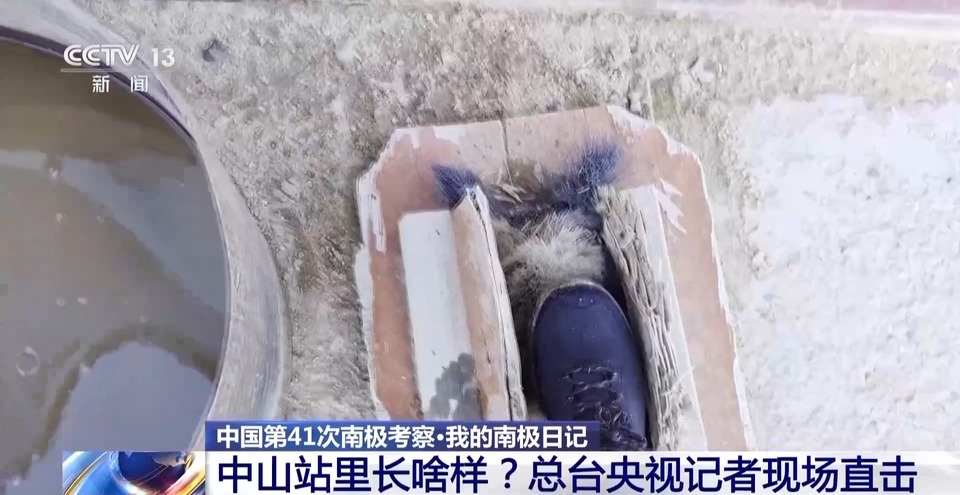 我的南极日记丨中山站里长啥样？大家吃得怎么样？一探究竟