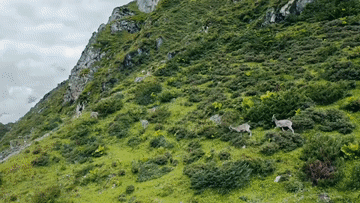 跟着总书记的考察足迹丨瞰西藏