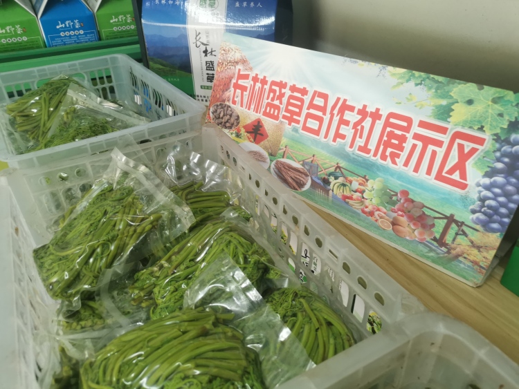 陇南宕昌南河镇：特色产业奏响乡村振兴强音_fororder_微信图片_20250528103647