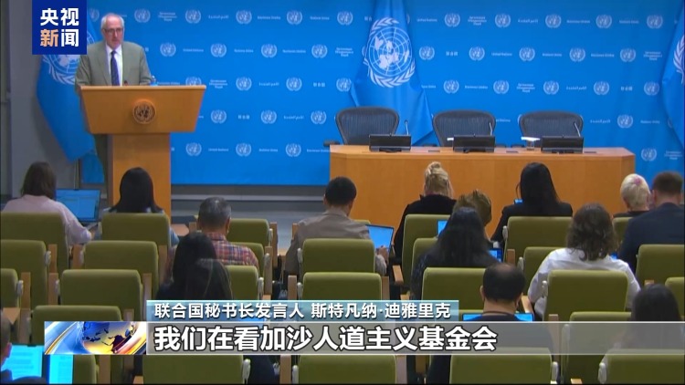 400多个分发点仅剩几个 联合国：加沙哄抢物资场景令人心碎