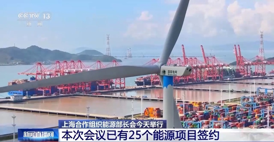 推动全球能源转型、促进可持续发展 上合组织这样助力→