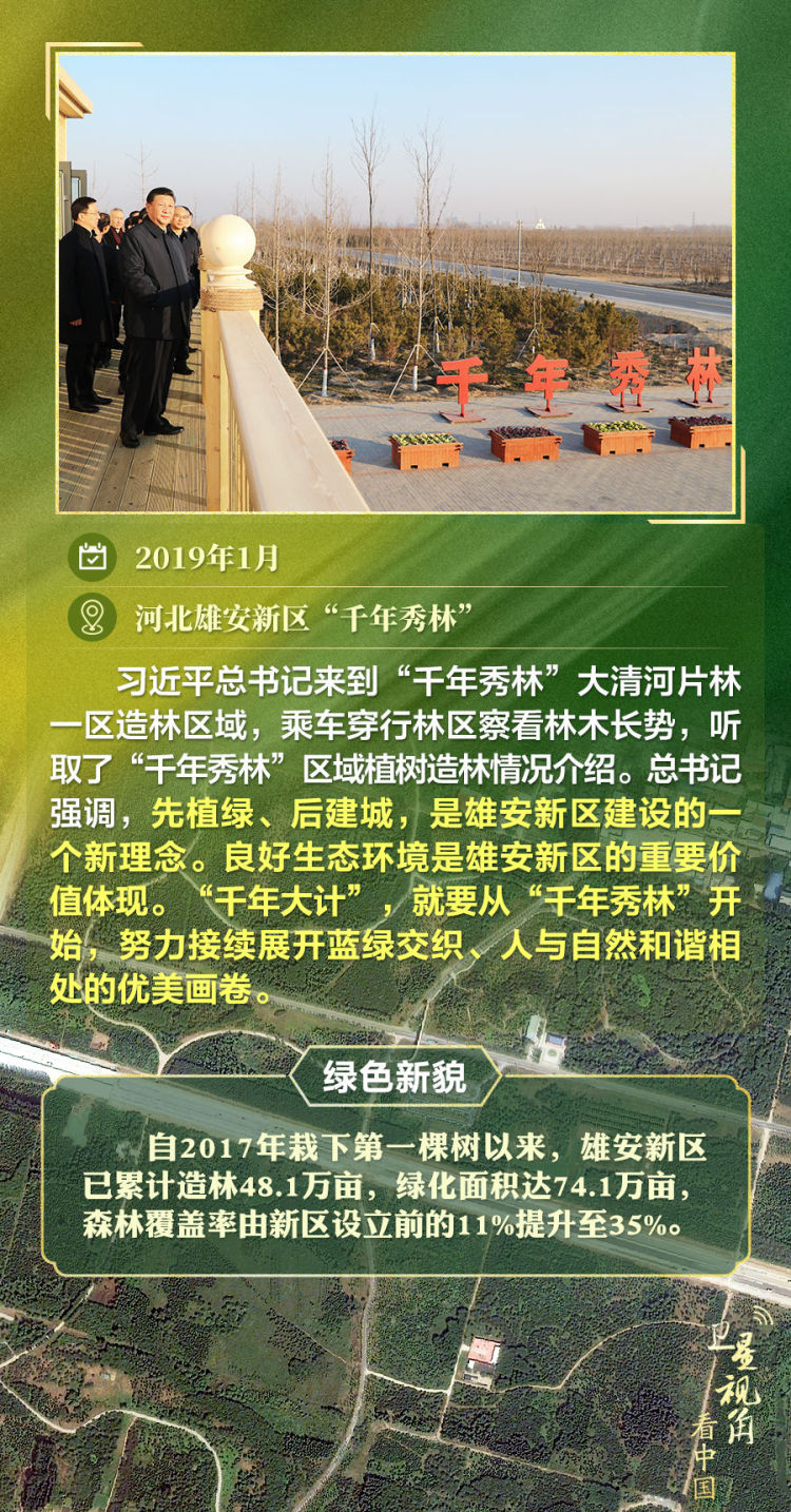 跟着总书记足迹“瞰”林海
