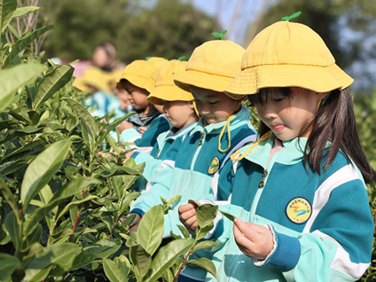 黄山市徽州区:“悦”见秋天 “童”享自然 黄山市徽州区:“悦”见秋天 “童”享自然_fororder_103007