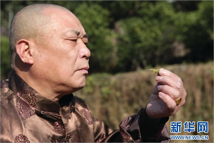 浙江温州：非遗茶香代代传