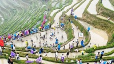 图片默认标题