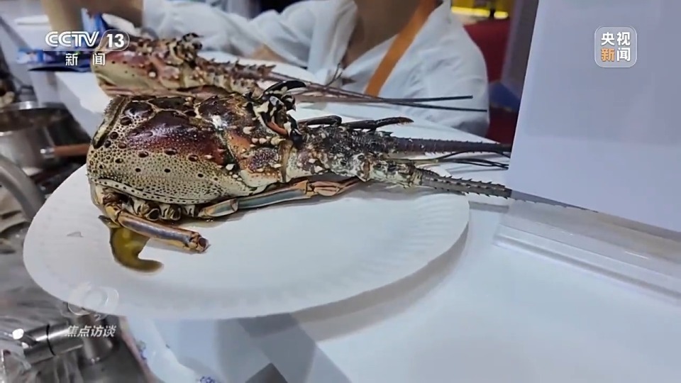 焦点访谈丨从“世界好物”到“全球商机” 进博八年交出亮眼“成绩单”