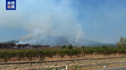 意大利维苏威火山游客线路因森林大火关闭 庞贝遗址仍开放