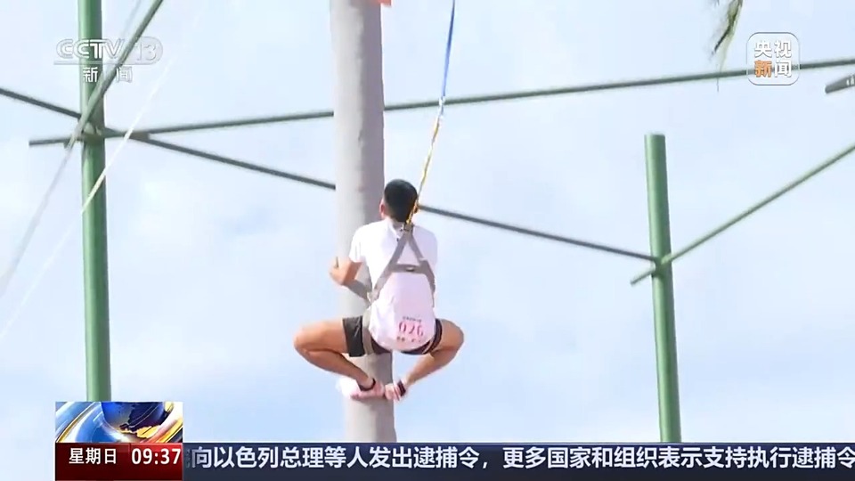 爬树也有比赛了?零距离看运动员争战“椰树之巅”