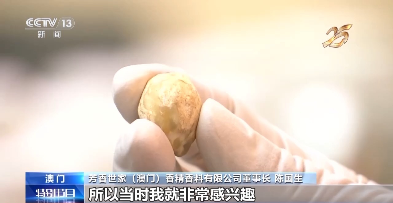 发挥好“精准联系人”作用 澳门推动中葡经贸合作→