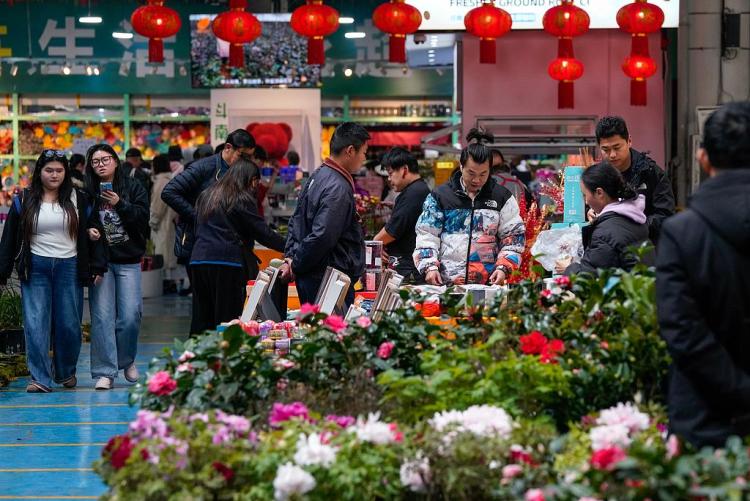 春天的云南宛如调色盘~送你一份超浪漫的《赏花图鉴》