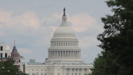 视频丨国际人士：美放弃气候承诺将造成严重后果